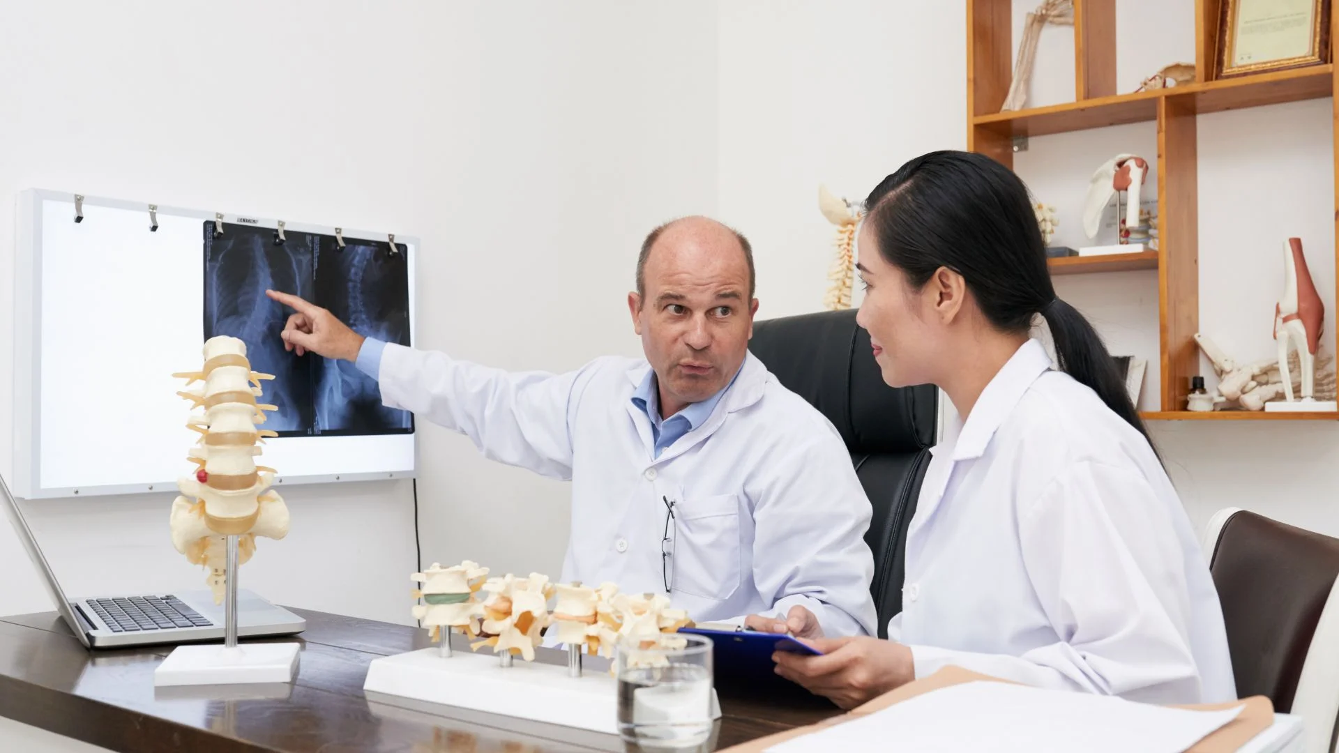 orthopedic vs Physiotherapy